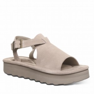 Bearpaw Ascend Sandalet Kadın Gri | JRJ1180ZW