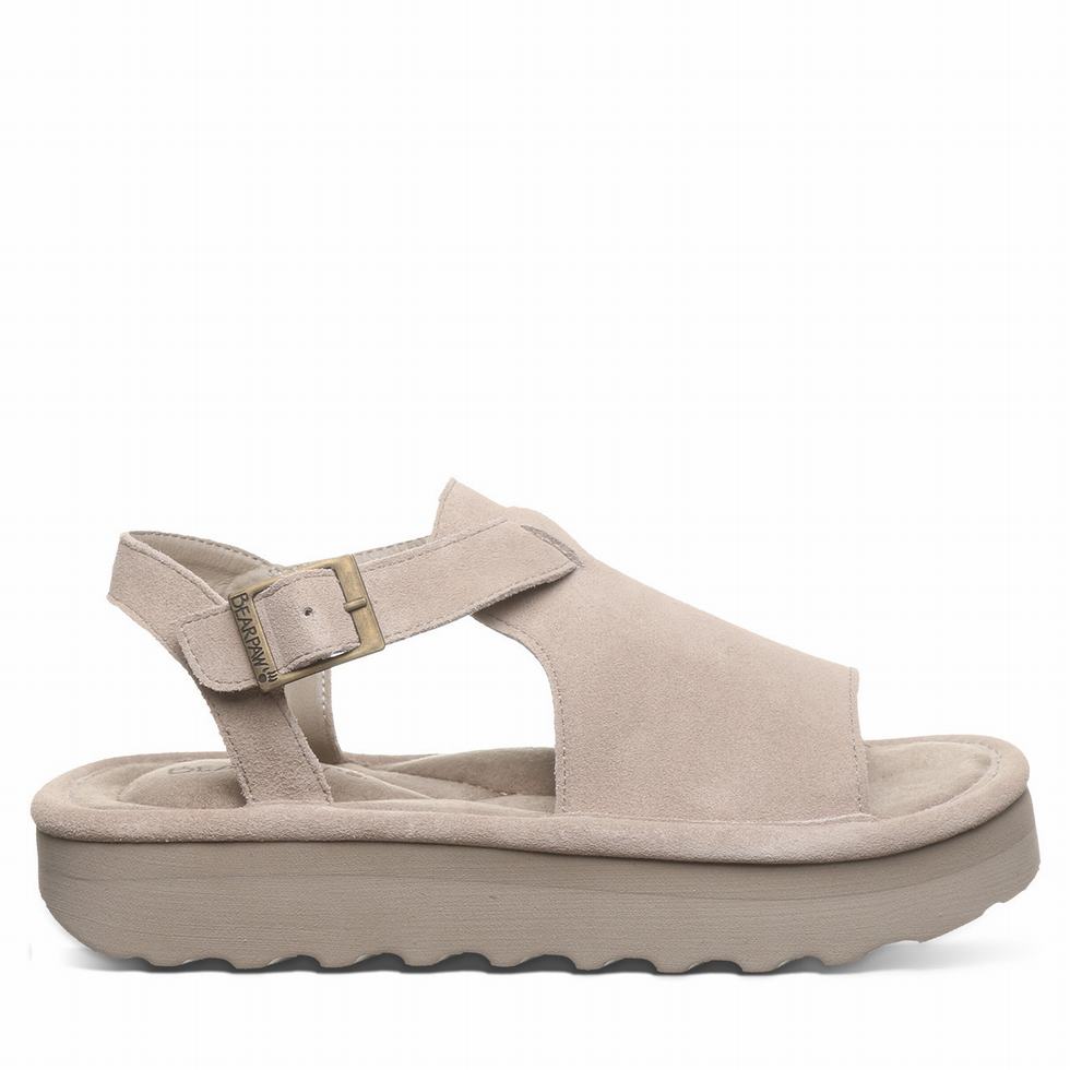 Bearpaw Ascend Sandalet Kadın Gri | JRJ1180ZW