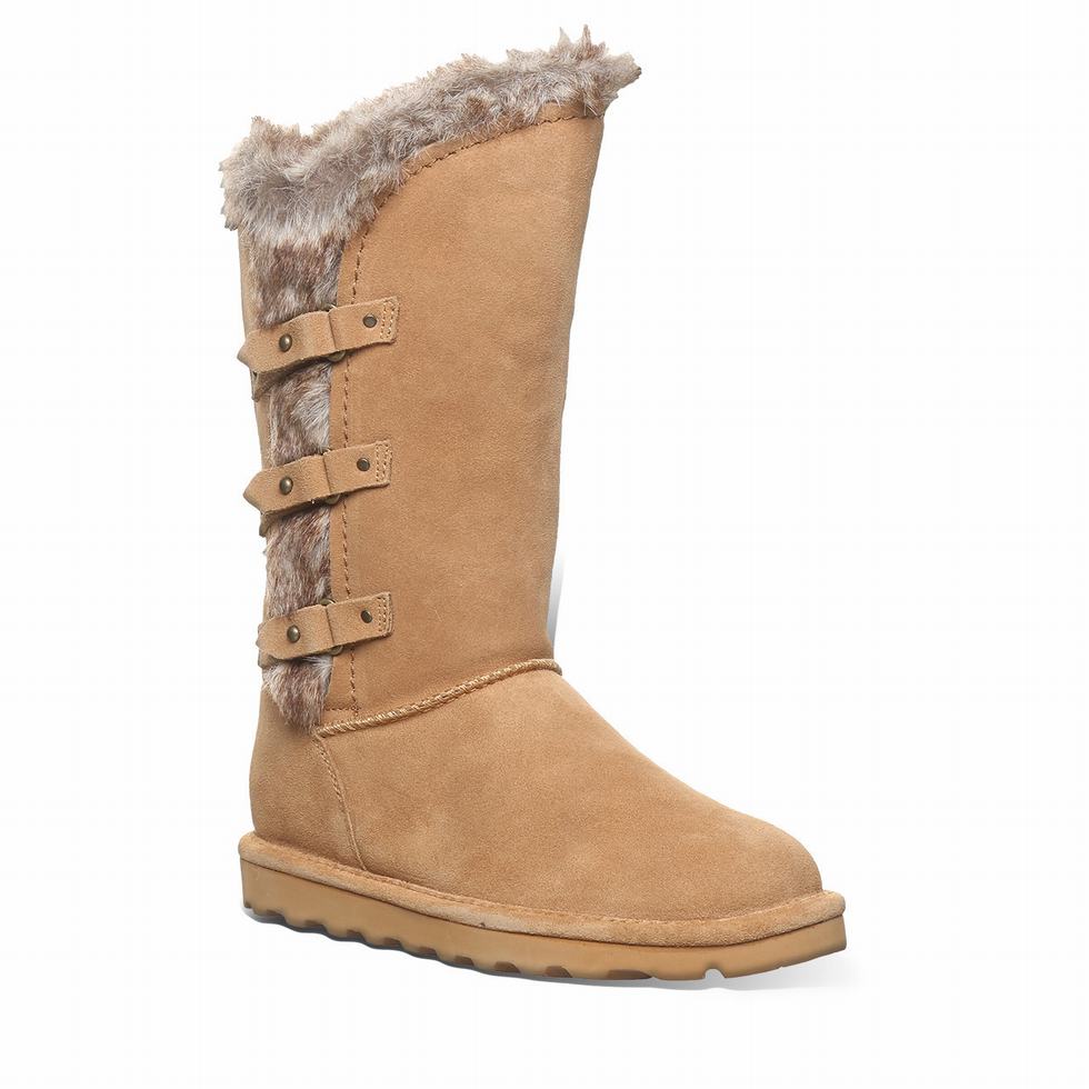 Bearpaw Emery Bot Kadın Kahverengi | QVV69100LA