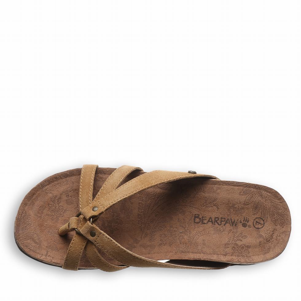 Bearpaw Fawn Sandalet Kadın Kahverengi | FRH3488SG