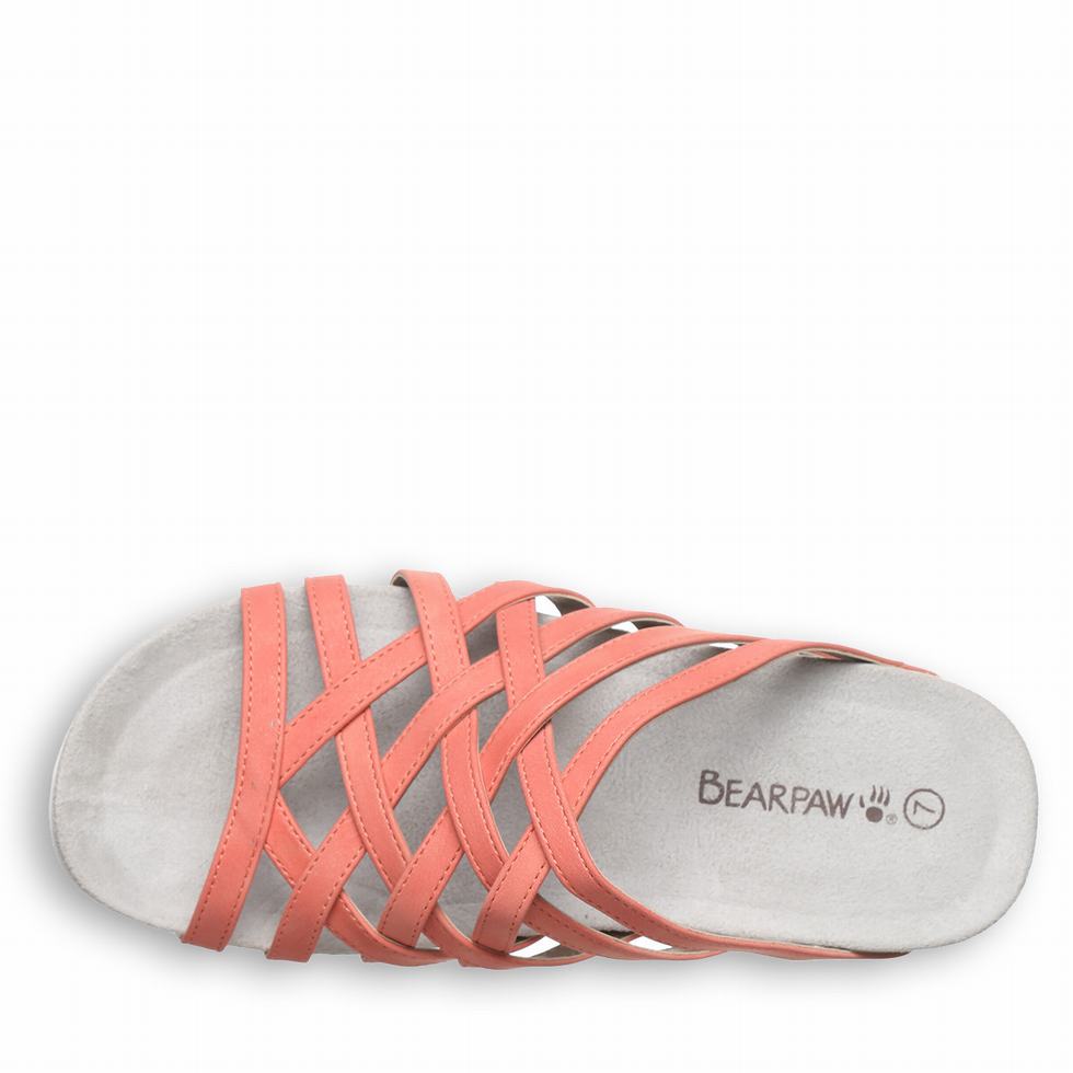 Bearpaw Zinnia Sandalet Kadın Pembe | NIM1645BP