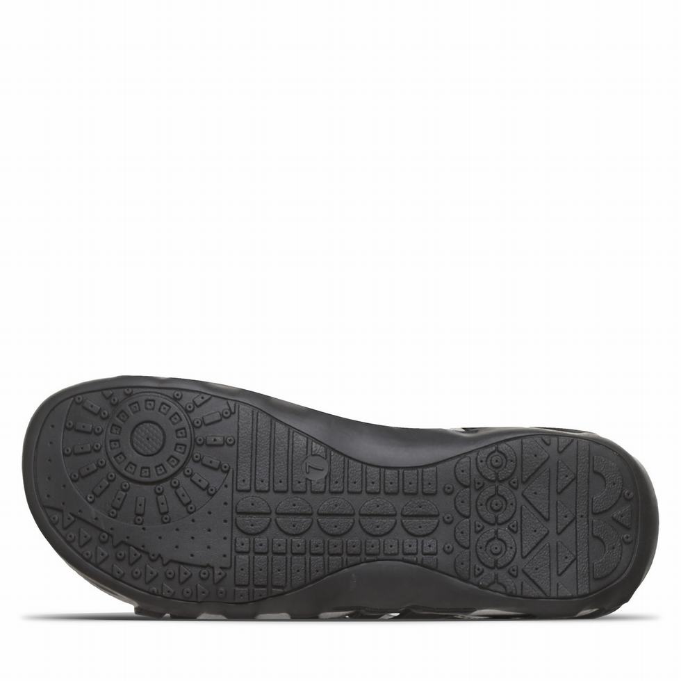 Bearpaw Zinnia Sandalet Kadın Siyah | UBP2081XB